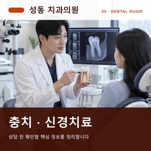 성동치과 | 보존치료, 깨진 치아와 신경 상태의 단계별 판단